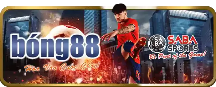 Nền tảng cá cược an toàn và bảo mật thông tin