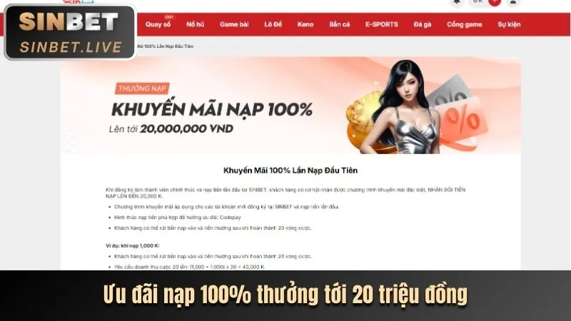 Hướng dẫn các bước bắt đầu chơi tại hbbet link mới